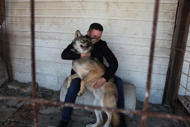 Fermeri kosovar “bën xhiro” në mediat botërore; e quan ujkun Trump