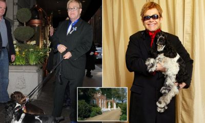 E mitura kafshohet në fytyrë nga qeni i Elton John! Këngëtari injoron situatën (FOTO)