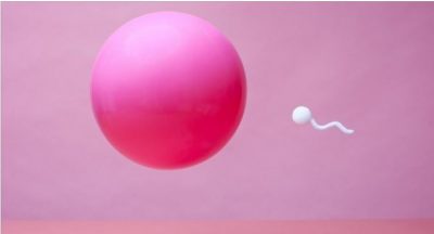 Këto janë 12 fakte magjepsëse për spermën që me siguri si keni ditur