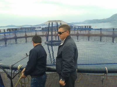 Olti tallet me drejtorin e Ujësjellësit të Sarandës: Hoqa ujin për 3 ditë, s’i ra njeri telefonit! Masakrohet nga fansat