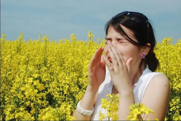 Si të mbrohemi nga alergjitë e stinës?