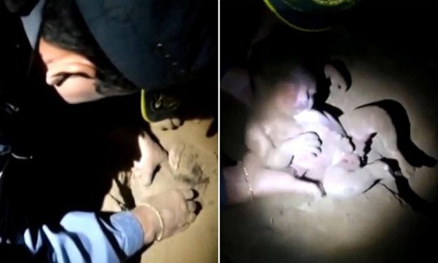 Foshnja e porsalindur nxirret gjallë pas 8 orësh nga varri (VIDEO)