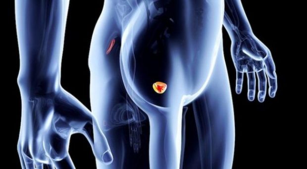 Tumori i prostatës, 7 sinjale që duhet t’iu alarmojnë  