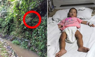 Fëmija 1-vjeç gjendet e gjallë në pyll, mbijetoi 5 dite pa ujë e ushqim