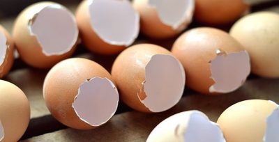 Zbuloni 6 mënyra për të ripërdorur lëvoret e vezëve (FOTO)