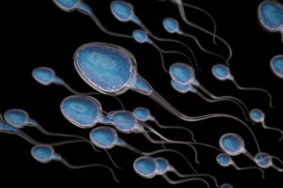 STUDIM/ Numri i meshkujve të trajtuar për infertilitet është 7-fishuar 15 vitet e fundit
