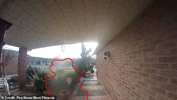 E PAZAKONTË/ Kamerat e sigurisë kapin fantazmën (VIDEO)