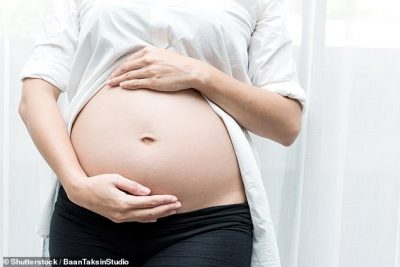 E PABESUESHME/ Nuk mund të ngelësh shtatzënë pa urdhër të shefit