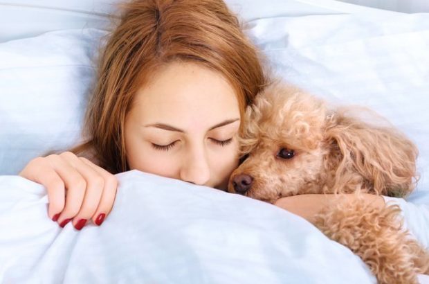 ME PARTNERIN APO KAFSHËT? Studimi zbulon se më kë flenë më qetë femrat!