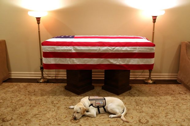 “MISIONI MBAROI”/ Qeni shoqëron Bush për herë të fundit (FOTO)