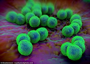 “SUPER GONORREA”/ Sëmundja seksualisht e transmetueshme rrit rezistencën ndaj antibiotikëve