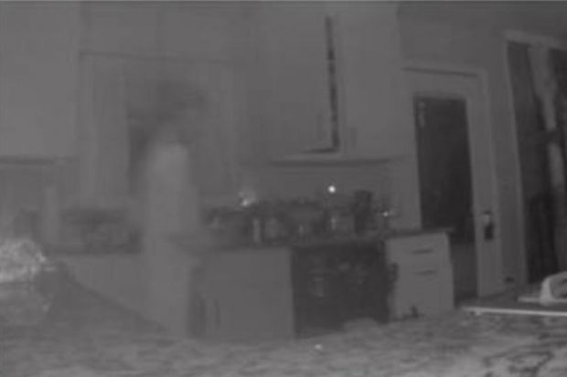 E FRIKSHME/ Nëna gjen fantazmën e djalit në kuzhinë (FOTO)
