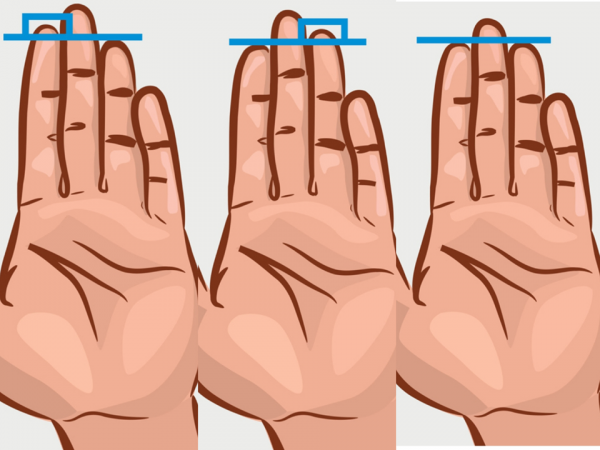 LIDER DHE AGRESIV/ Zbuloni çfarë tregon gjatësia e gishtave për personalitetin tuaj