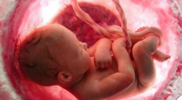 VIDEO E MREKULLISË/ 9 muajt e foshnjes në bark, ja si vjen në jetë