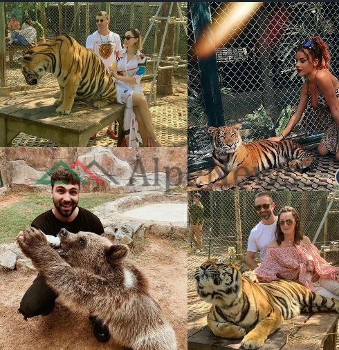 “KRIJESAT E MREKULLUESHME”/ Kur VIP-at shqiptar “fiksohen” pas fotove me… kafshë të egra (FOTO)