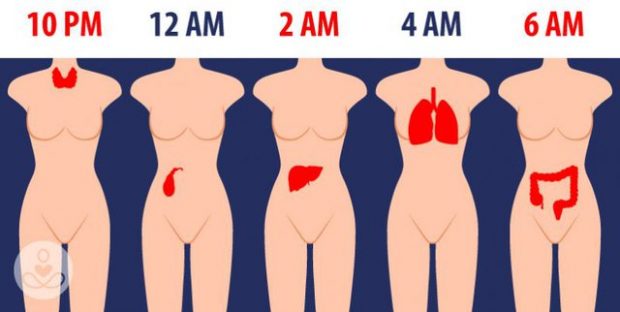 ÇDO ORAR ZGJIMI TREGON NJË PROBLEM/ Nëse zgjoheni në 3, 4 ose 5 të mëngjesit trupi juaj…