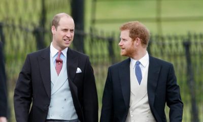 ME KËTO FOTO TË PUBLIKUARA/ Princ Harry dhe Princ William i japin fund thashethemeve për marrëdhënien e tyre