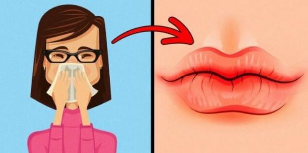 MËSOJINI TANI/ 5 gjërat që buzët tregojnë për shëndetin tuaj