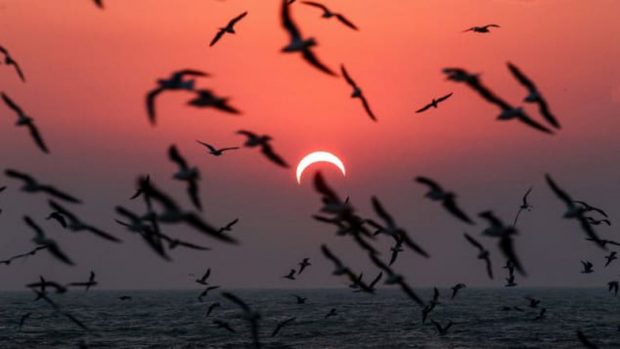 MOS I HUMBISNI/ Fotot më fantastike të eklipsit të fundit diellor të dekadës