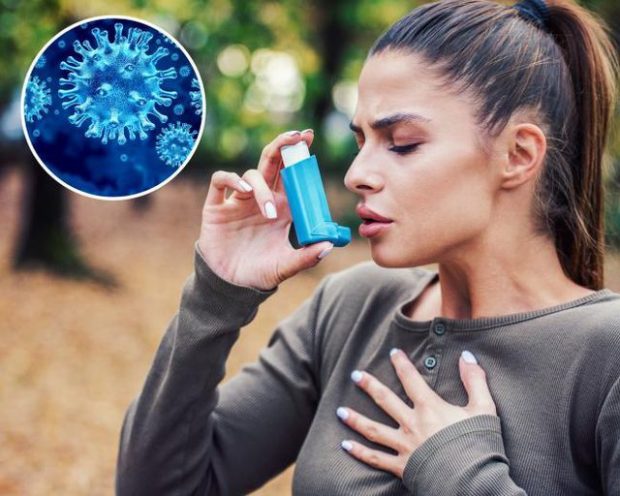 KORONAVIRUSI/ Çfarë ndodh nëse një i sëmurë me astmë preket nga COVID-19?