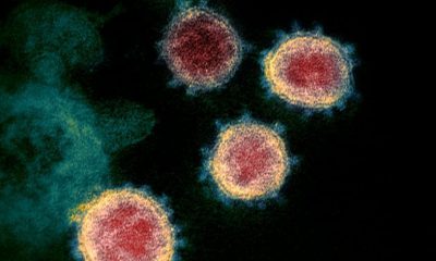 STUDIMI I RI/ Ja pse koronavirusi u përhap me shpejtësi në gjithë botën