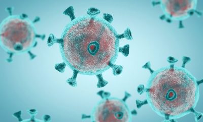 CIVUD-19/ Si e lufton sistemi imunitar këtë virus