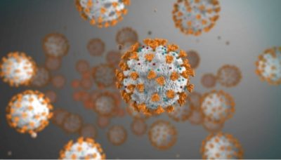 COVID-19/ Pse është e rëndësishme përfshirja e një testi total antitrupash për të ndihmuar në pandeminë 