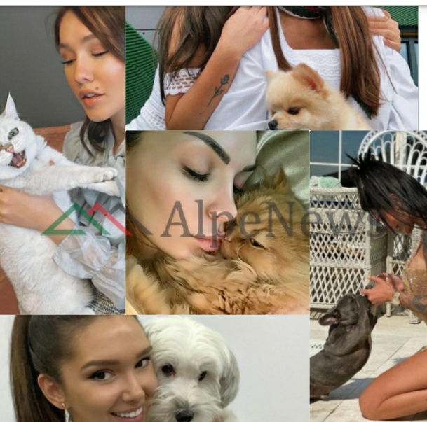 DASHURIA PËR KAFSHËT/ Nga macet, qentë e deri tek kaviet, VIP-at shqiptarë që i kanë pjesë të jetës (FOTOT)